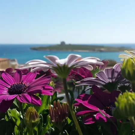Lägenhet Terrazza Dei Due Mari